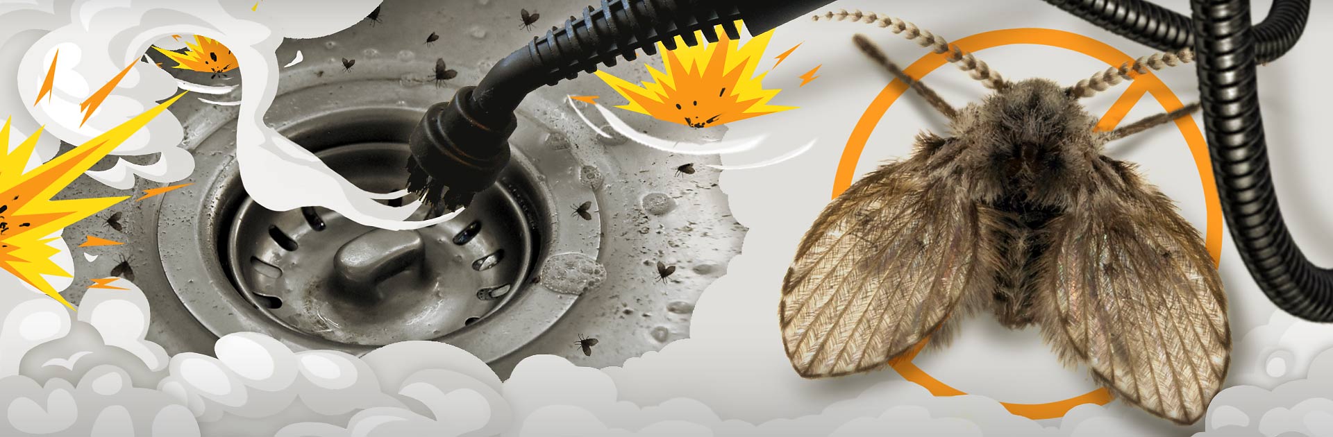 https://handymananddesigns.com/wp-content/uploads/handyman-and-designs-how-to-get-rid-of-drain-flies-feature.jpg